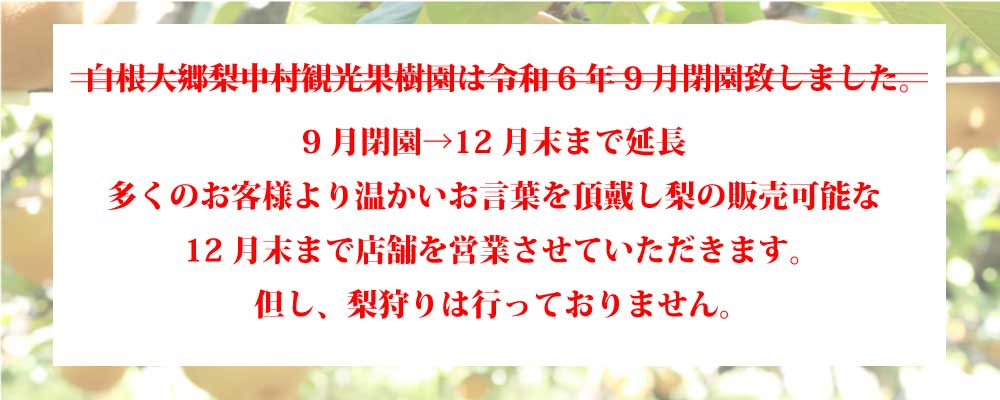 株式会社白根大郷梨中村観光果樹園/ルレクチェ